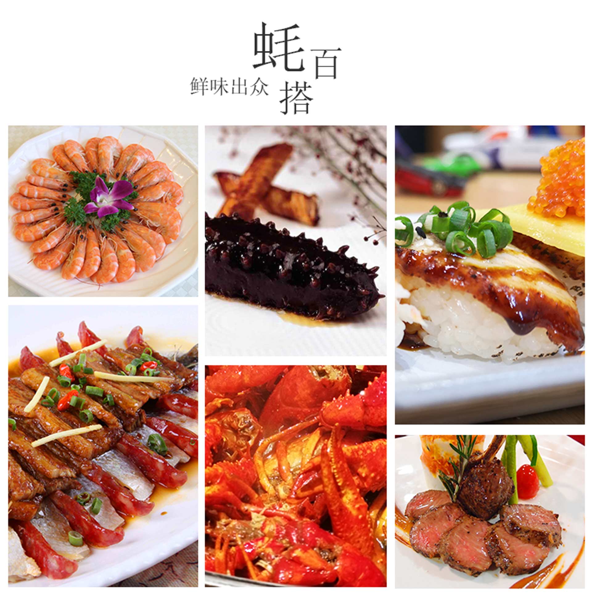 j6����(�й���) - �ٷ���վ