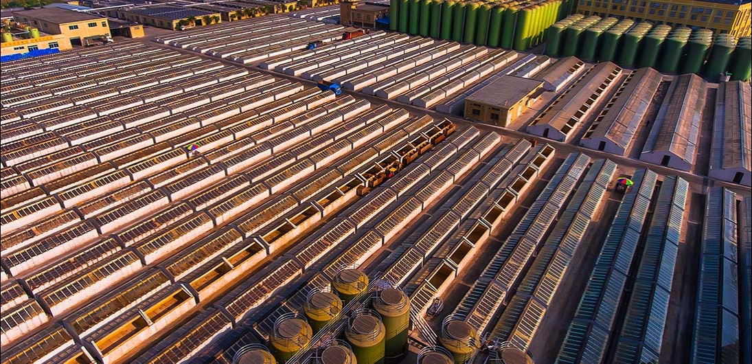 j6����(�й���) - �ٷ���վ