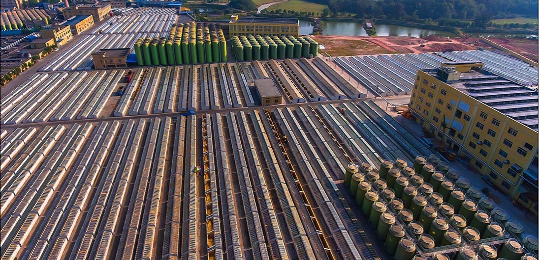 j6����(�й���) - �ٷ���վ